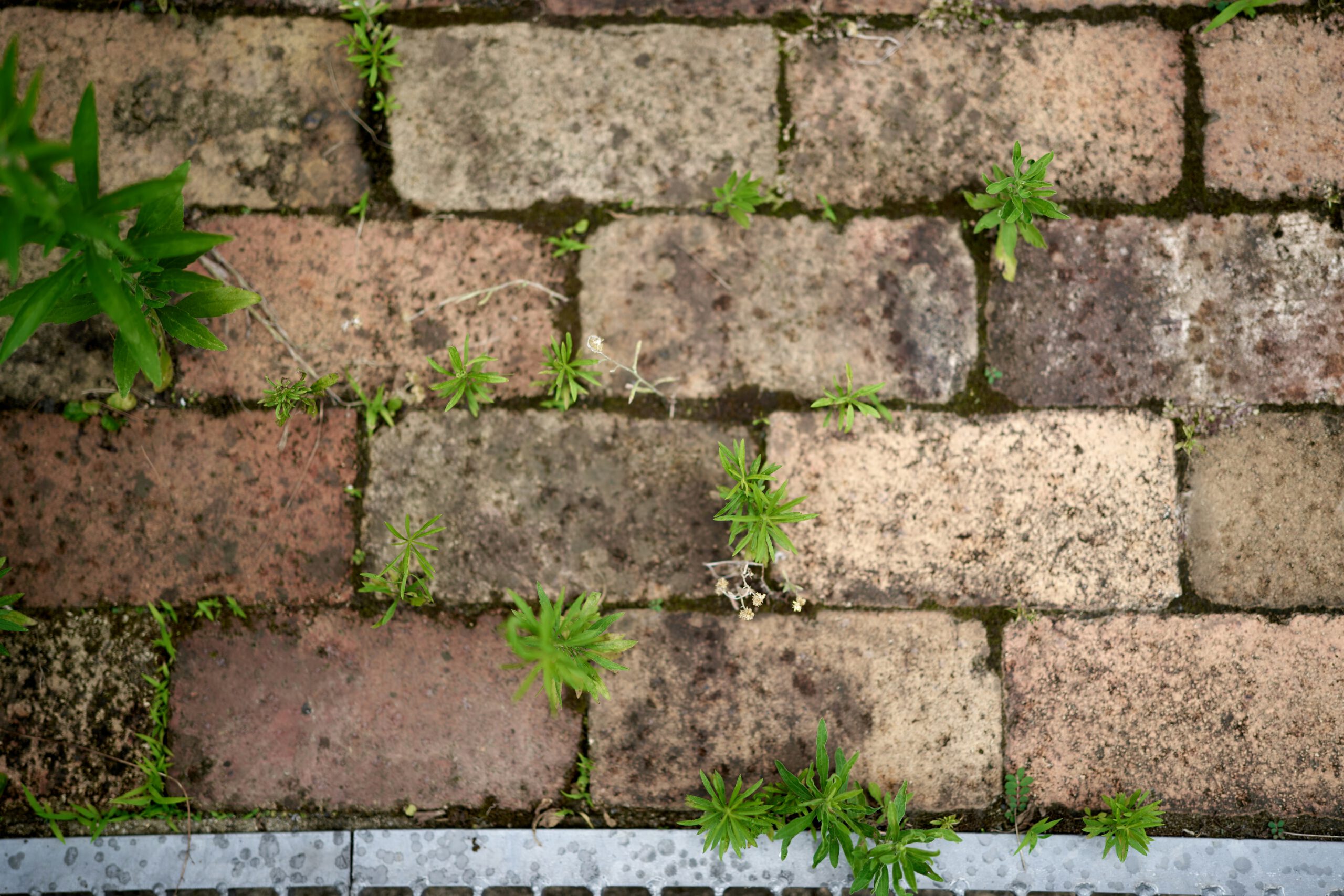 Propaan voor onkruidbestrijding in landbouw en tuinbouw